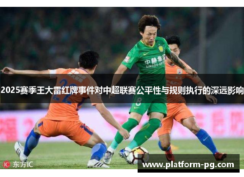 2025赛季王大雷红牌事件对中超联赛公平性与规则执行的深远影响