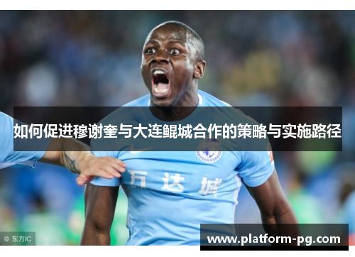 如何促进穆谢奎与大连鲲城合作的策略与实施路径