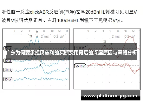 广东为何要承担贝兹利的买断费用背后的深层原因与策略分析