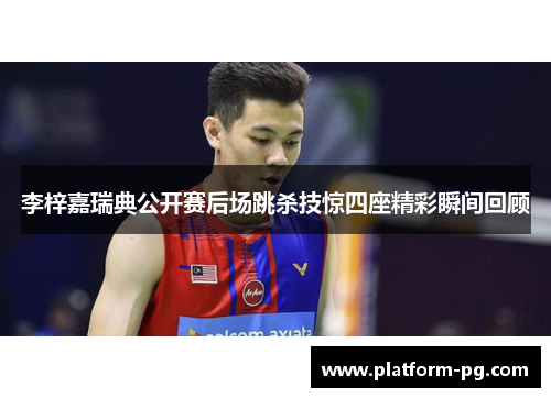 李梓嘉瑞典公开赛后场跳杀技惊四座精彩瞬间回顾