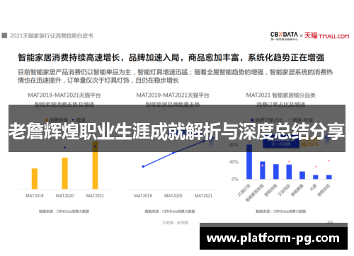 老詹辉煌职业生涯成就解析与深度总结分享