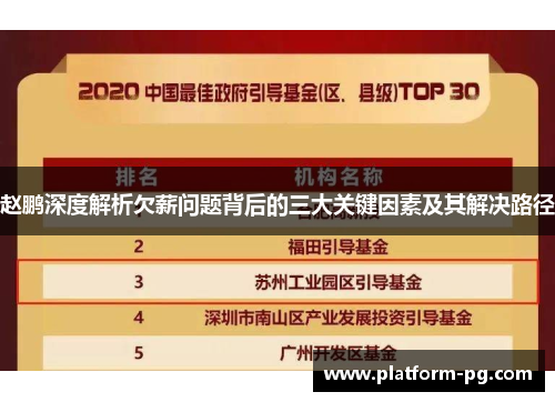 赵鹏深度解析欠薪问题背后的三大关键因素及其解决路径